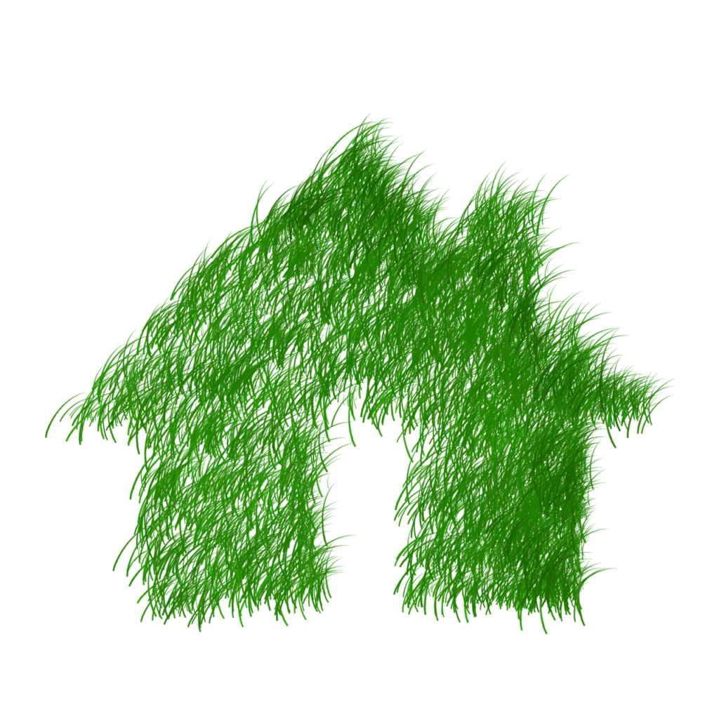 elegir productos ecológicos en la limpieza post-obra