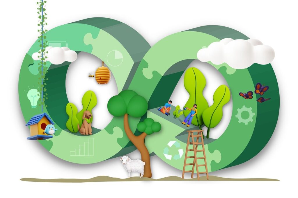 Productos ecológicos para limpiar después de una reforma